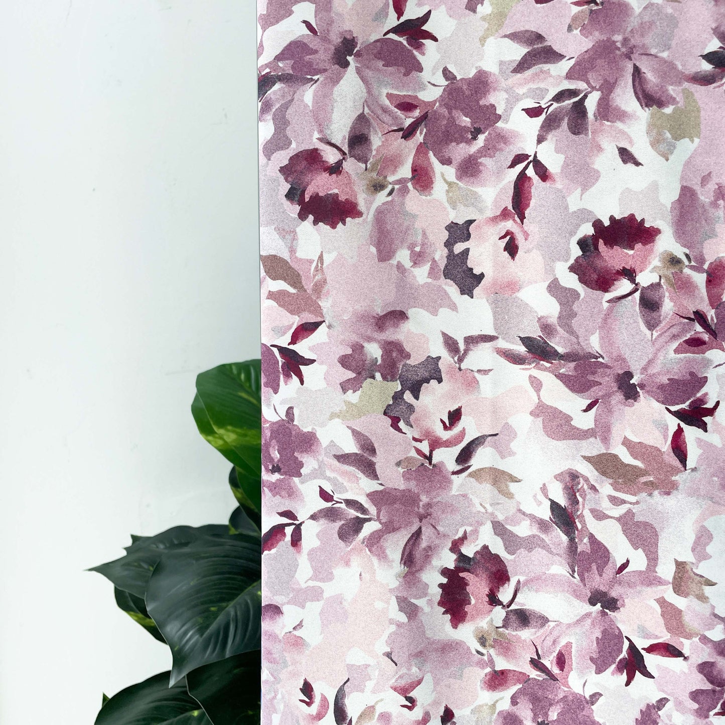 Ballena Italian Digital Series 2