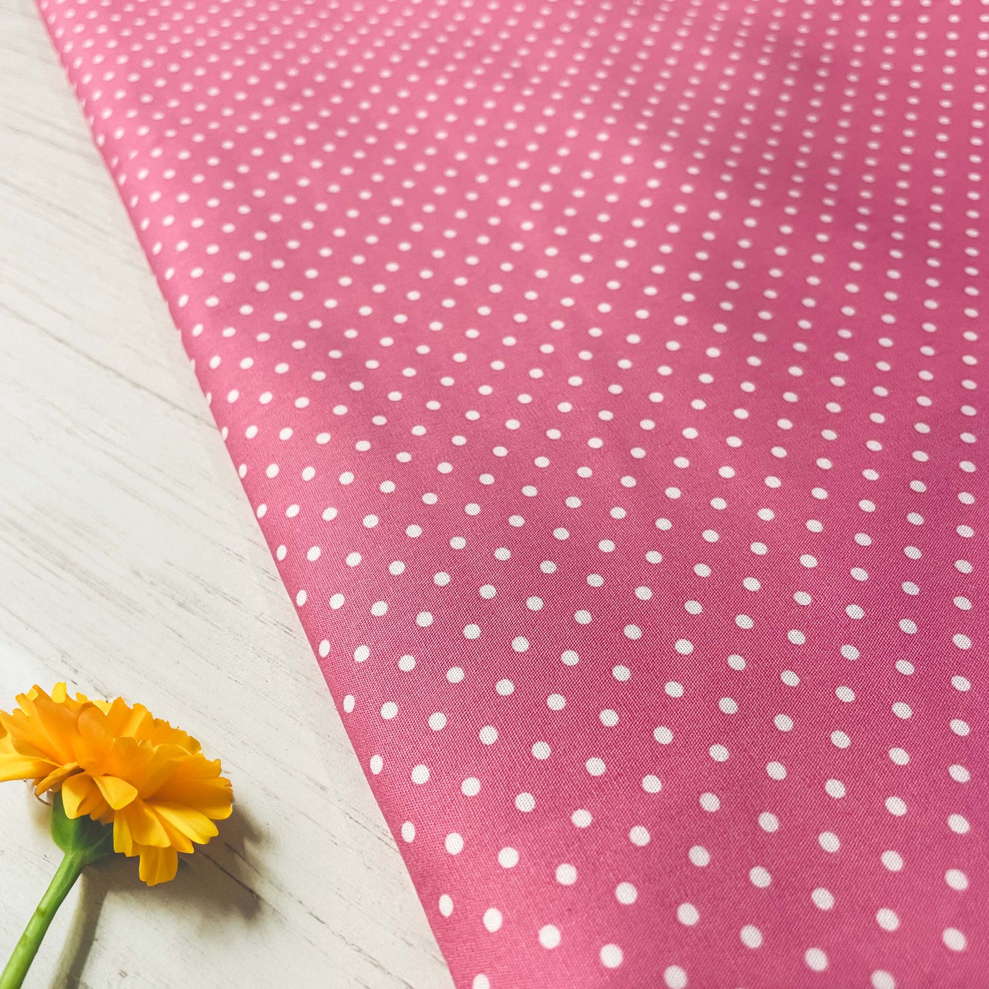 Poplin U Dots Cotton 44"