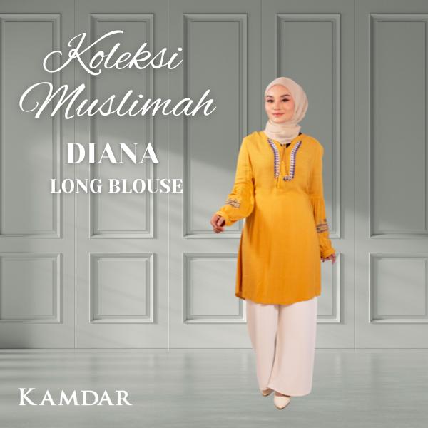 Diana Long Blouse