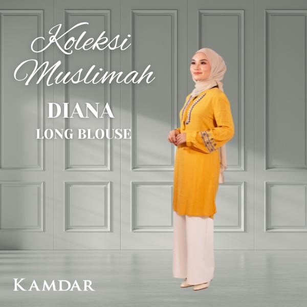 Diana Long Blouse