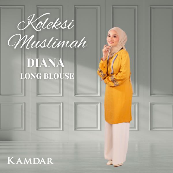 Diana Long Blouse