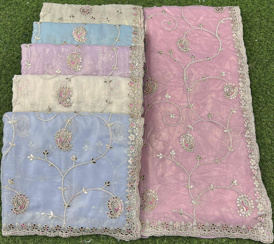 Organza Coating Saree Design 1