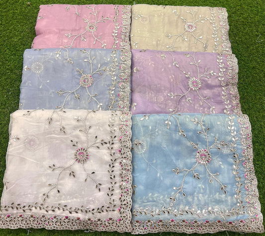 Organza Coating Saree Design 2