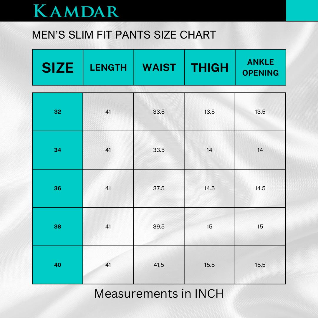 Carlo Anthoni Men Pants Regular Fit