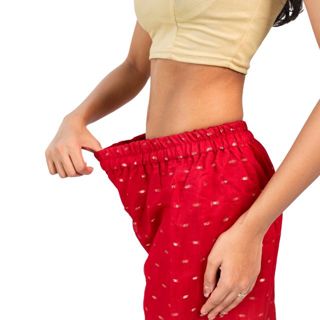 Banarasi Silk Butti Palazzo Pants
