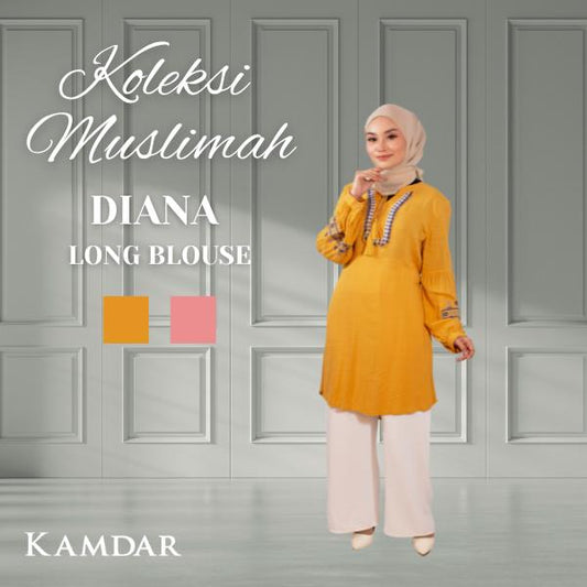 Diana Long Blouse